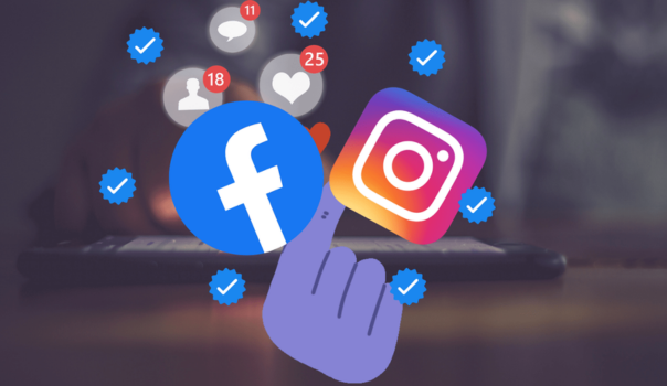 Meta Verification